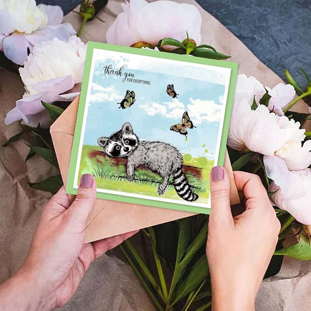 Realistic Raccoons Clear Stamp - Clear Silicone Stamps For Card Making recension och pris